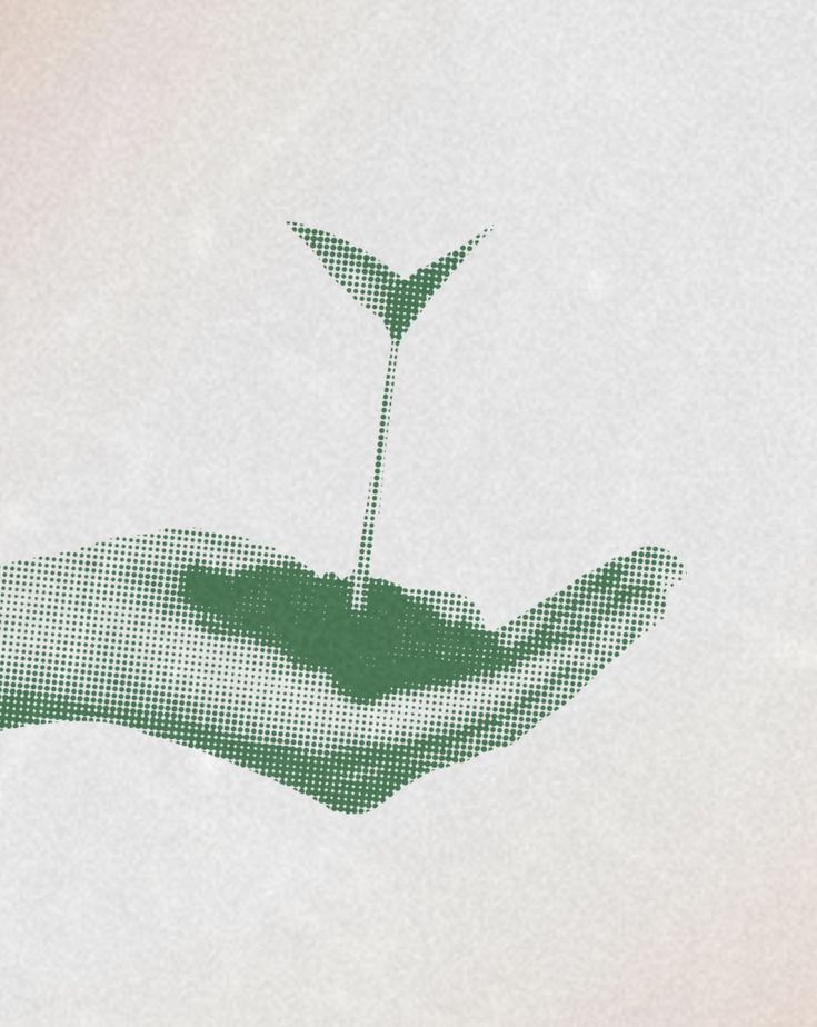 Paid & Organic Social Media